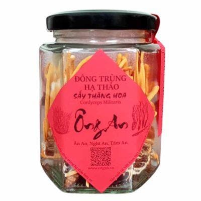 đông trùng hạ thảo ký chủ nhộng